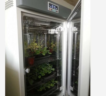 Phòng tăng trưởng thực vật LIYI Máy nảy mầm khí hậu nhân tạo Máy ươm thực vật Hộp tăng trưởng thực vật