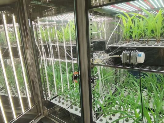 Liyi Programmable Climate Seed Plant Flower Growth Germination Incubator Environmental Chamber